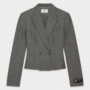 Aritzia Babaton Ratio Blazer